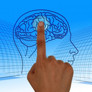 Rehabilitación neurocognitiva 4 plazos