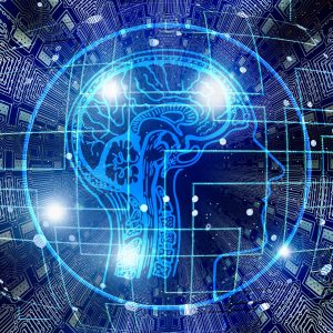 Rehabilitación neurocognitiva 4 plazos